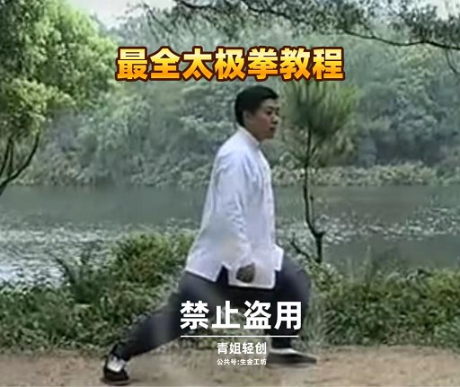 最全的太极拳教授课程