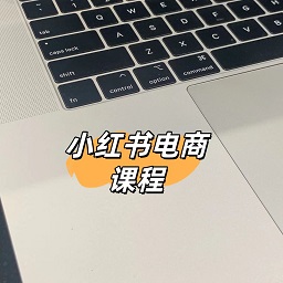 小红书电商课程