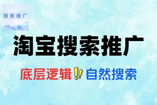 淘宝电商自然搜索付费推广攻略标品非标品运营策略