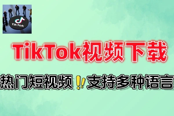 TikTok视频下载器