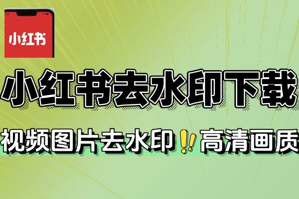 小红书去水印下载器在线工具