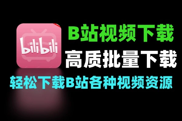 最新B站视频下载工具4K画质批量不限速下载
